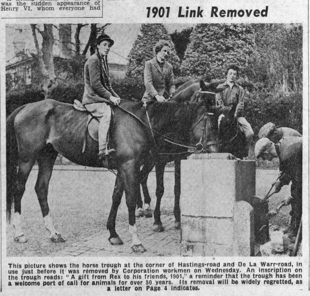 File:Bexhill Observer Rex trough.jpg